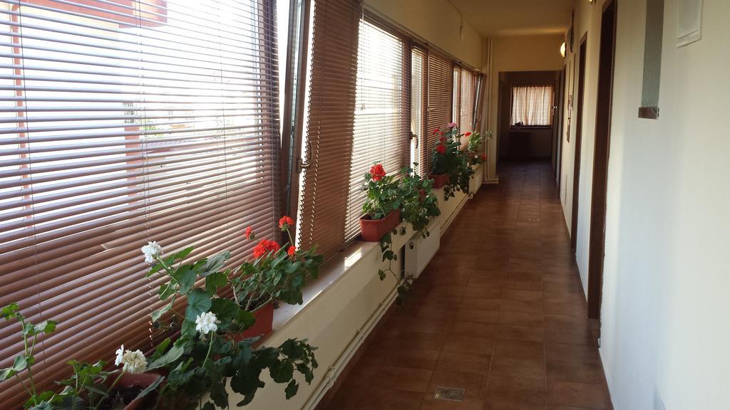 Hostel Nova Route Năvodari Екстериор снимка